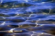 ����� �� ��������������� �� �����: