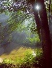 Как освящают воду на молебне, заказанном верующими Как освящают воду на молебне, заказанном верующими
