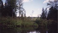 Водные ресурсы Пермского края Водные ресурсы Пермского края