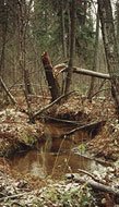 Водные ресурсы Пермского края Водные ресурсы Пермского края