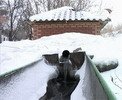 Родник, святой источник Архистратига Михаила Родник, святой источник Архистратига Михаила