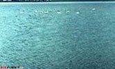 Озеро Культубан Озеро Культубан