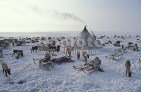 Реки района Реки района