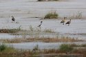 Водоёмы Эрзинского кожууна Водоёмы Эрзинского кожууна
