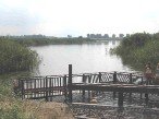 Река Бейсужек Левый Река Бейсужек Левый