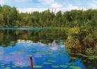 Водные ресурсы Приморского края Водные ресурсы Приморского края
