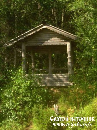 Родник, святой источник у села Пурмена Родник, святой источник у села Пурмена