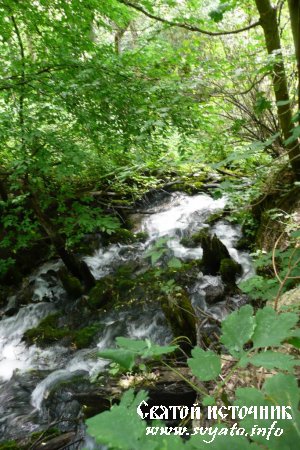Водопад, родник, Русанов ключ у села Паниковец Водопад, родник, Русанов ключ у села Паниковец