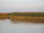 Река Иньва Река Иньва