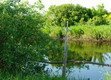 Родники, святые источники села Аношкино Родники, святые источники села Аношкино