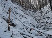 Родник, святой источник Николаевский Родник, святой источник Николаевский