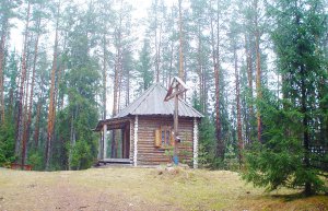 Родник, святой источник Параскевы Пятницы у деревни Холова Родник, святой источник Параскевы Пятницы у деревни Холова