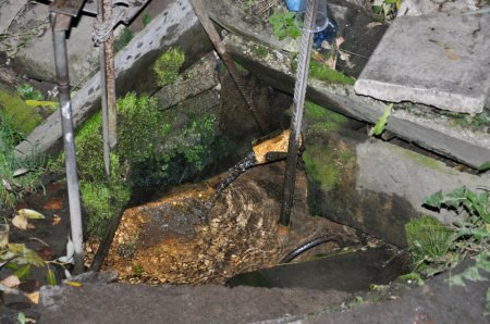 Родник, святой источник Пророка Иоанна Предтечи и Крестителя Господня город Мытищи Родник, святой источник Пророка Иоанна Предтечи и Крестителя Господня город Мытищи