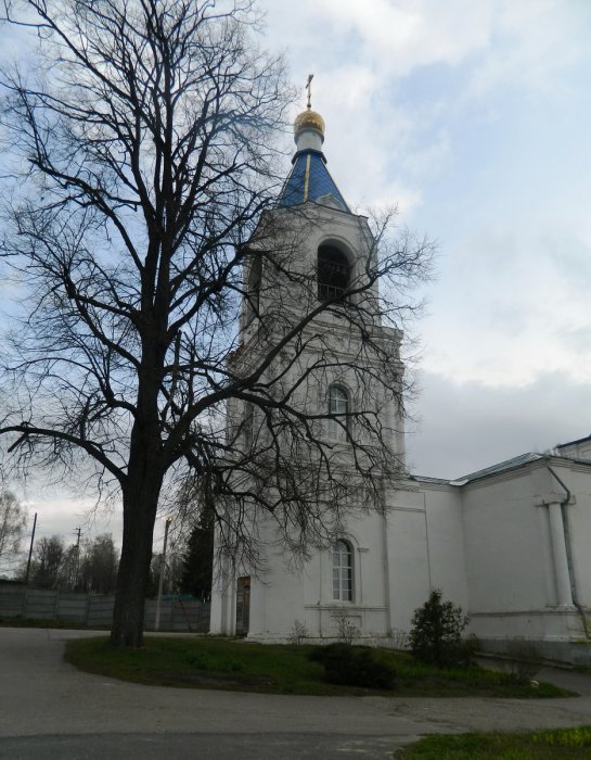 Храм Успения Пресвятой Богородицы село Белые Колодези Храм Успения Пресвятой Богородицы село Белые Колодези