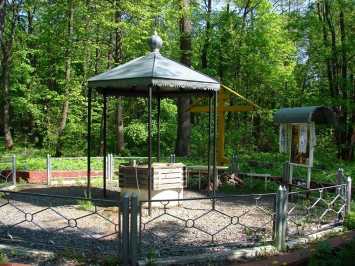 Родник, святой источник Николая Чудотворца у деревни Луги Родник, святой источник Николая Чудотворца у деревни Луги