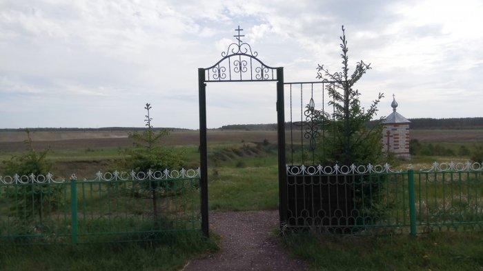 Родник, святой источник великомученика Пантелеимона Целителя у села Большое Фролово Родник, святой источник великомученика Пантелеимона Целителя у села Большое Фролово