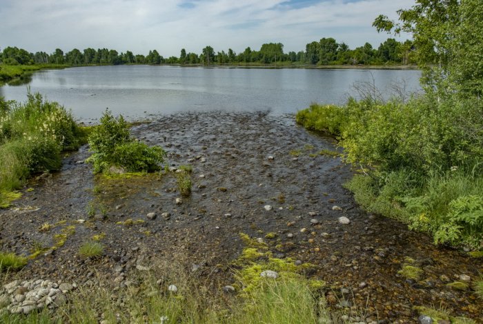 Водные ресурсы Советского района Водные ресурсы Советского района