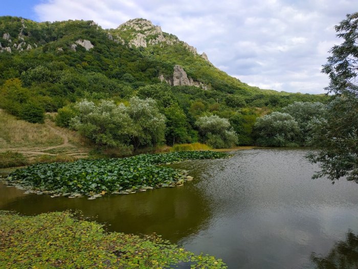 Водные ресурсы городского округа Лермонтов Водные ресурсы городского округа Лермонтов